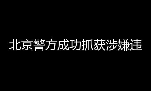 北京警方成功抓獲涉嫌違法演員王某，文娛行業(yè)掀起整治風(fēng)暴