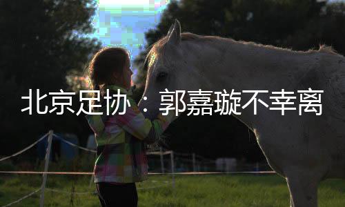 北京足協(xié)：郭嘉璇不幸離世 已組織專家分析訓(xùn)練賽視頻