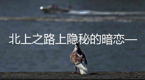 北上之路上隱秘的暗戀——邵星池與夏鳳華的情感糾葛