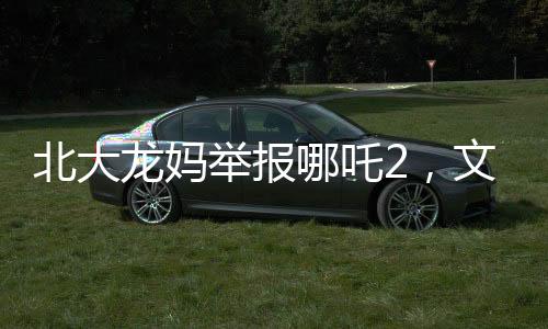 北大龍媽舉報(bào)哪吒2，文化產(chǎn)品與道德底線的爭(zhēng)議