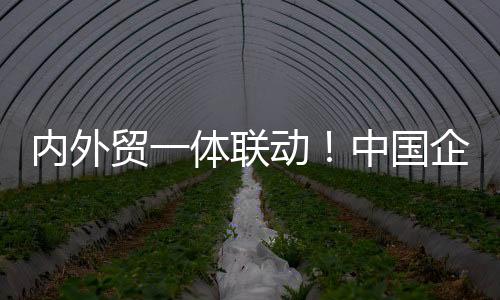 內(nèi)外貿(mào)一體聯(lián)動！中國企業(yè)集體出手