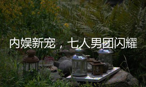 內(nèi)娛新寵，七人男團(tuán)閃耀登場(chǎng)，新一代偶像力量的匯聚