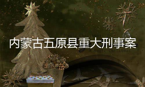 內(nèi)蒙古五原縣重大刑事案件告破紀實