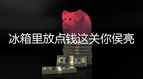 冰箱里放點(diǎn)錢(qián)這關(guān)你侯亮平屁事