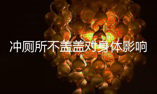 沖廁所不蓋蓋對身體影響有多大，深度解析與科學(xué)解讀