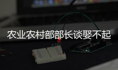 農(nóng)業(yè)農(nóng)村部部長談娶不起死不起，聚焦鄉(xiāng)村發(fā)展的多重挑戰(zhàn)與解決方案
