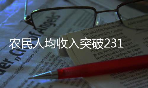 農(nóng)民人均收入突破23119元，農(nóng)村繁榮與持續(xù)發(fā)展的十大亮點(diǎn)解讀