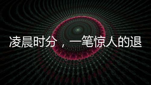凌晨時分，一筆驚人的退稅額顯現(xiàn)，揭曉了稅改政策的新紅利