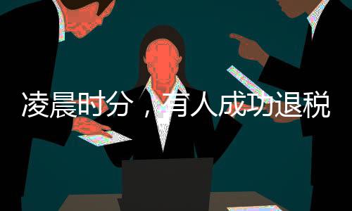 凌晨時分，有人成功退稅五萬多元，揭秘退稅流程與個人經(jīng)歷