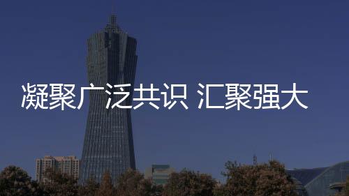 凝聚廣泛共識 匯聚強(qiáng)大合力——共創(chuàng)未來輝煌的一二三四五六七八九十