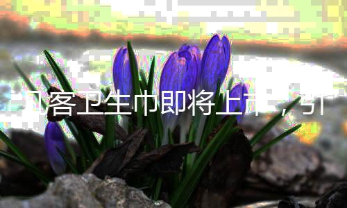 凡客衛(wèi)生巾即將上市，引領(lǐng)個(gè)人護(hù)理新篇章