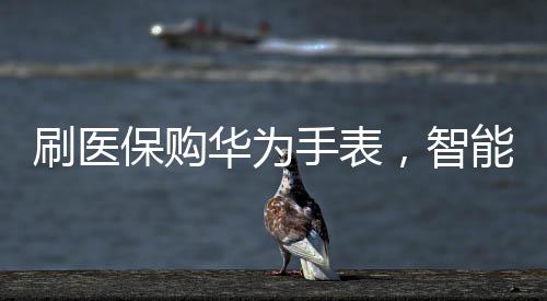 刷醫(yī)保購華為手表，智能穿戴的新里程碑與消費(fèi)新趨勢