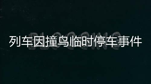 列車因撞鳥臨時停車事件，現(xiàn)場情況與反思
