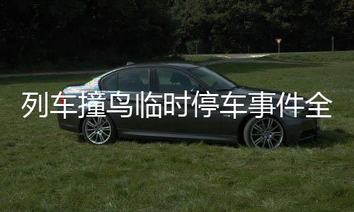 列車撞鳥(niǎo)臨時(shí)停車事件全程解析