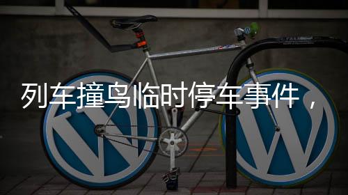 列車撞鳥臨時停車事件，鐵路部門誠懇致歉
