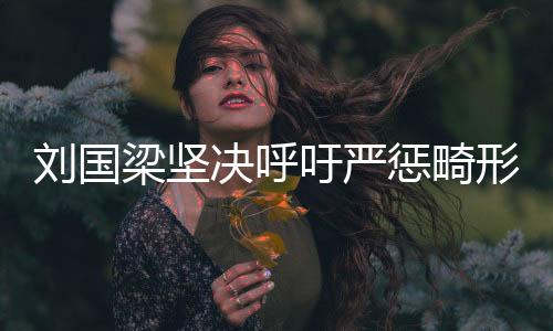 劉國(guó)梁堅(jiān)決呼吁嚴(yán)懲畸形飯圈文化