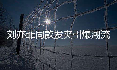 劉亦菲同款發(fā)夾引爆潮流風(fēng)暴，銷售火爆