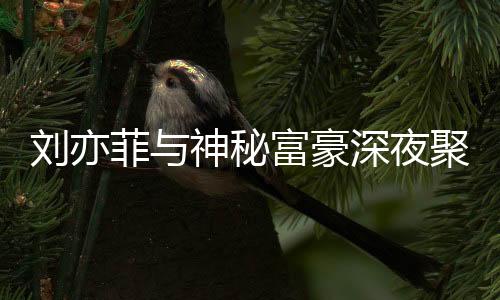 劉亦菲與神秘富豪深夜聚餐，背后的故事引發(fā)熱議