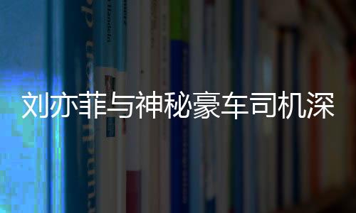 劉亦菲與神秘豪車司機深夜聚餐，事件解讀與深度分析