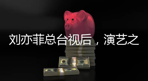 劉亦菲總臺視后，演藝之路的輝煌里程碑