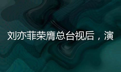 劉亦菲榮膺總臺(tái)視后，演藝巔峰的璀璨時(shí)刻