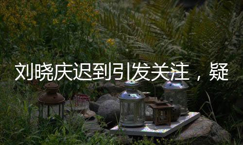 劉曉慶遲到引發(fā)關注，疑因家中被盜