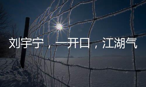 劉宇寧，一開(kāi)口，江湖氣息撲面而來(lái)