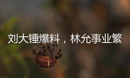 劉大錘爆料，林允事業(yè)繁忙，無暇顧及懷孕事宜