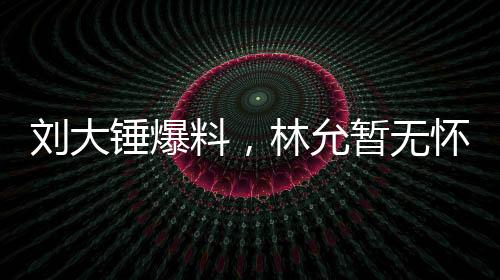 劉大錘爆料，林允暫無(wú)懷孕計(jì)劃