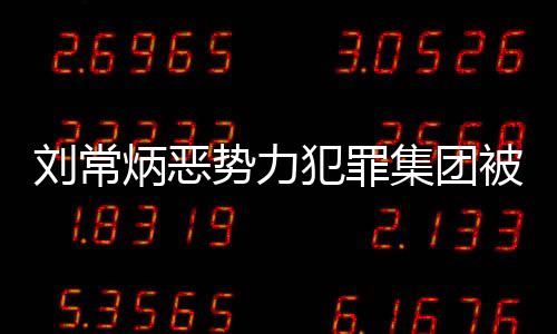 劉常炳惡勢(shì)力犯罪集團(tuán)被成功打擊，正義彰顯法治力量