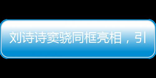 劉詩詩竇驍同框亮相，引發(fā)粉絲熱議