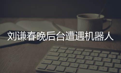 劉謙春晚后臺(tái)遭遇機(jī)器人碰瓷事件揭秘