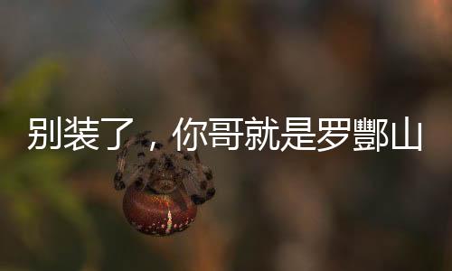 別裝了，你哥就是羅酆山鬼王。