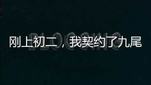剛上初二，我契約了九尾妖狐
