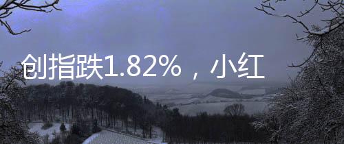 創(chuàng)指跌1.82%，小紅書概念股持續(xù)大漲——股市熱點解析
