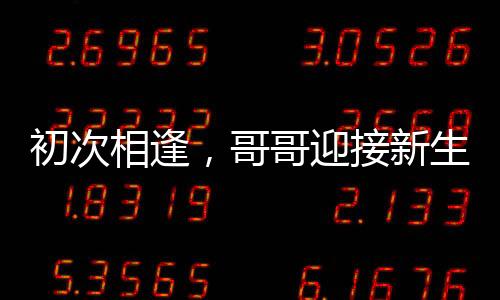 初次相逢，哥哥迎接新生的妹妹