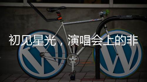 初見星光，演唱會(huì)上的非傳統(tǒng)演員尋覓之旅