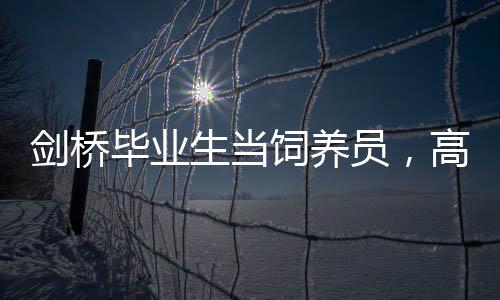 劍橋畢業(yè)生當飼養(yǎng)員，高學歷人才的新職業(yè)選擇