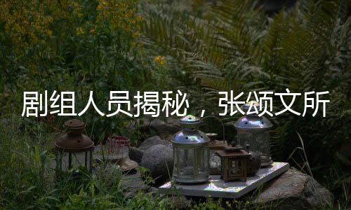 劇組人員揭秘，張頌文所扔之花竟是白花——探尋背后的故事
