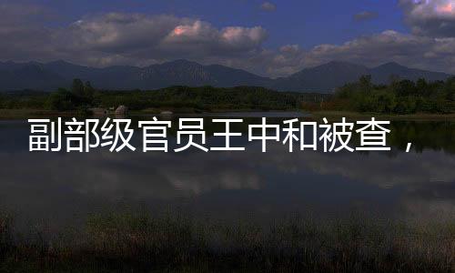 副部級官員王中和被查，反腐風(fēng)暴再掀波瀾