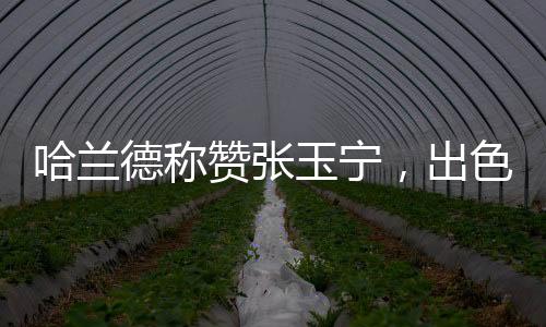 哈蘭德稱贊張玉寧，出色的射手