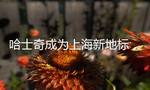哈士奇成為上海新地標(biāo)，引領(lǐng)潮流，展現(xiàn)城市活力