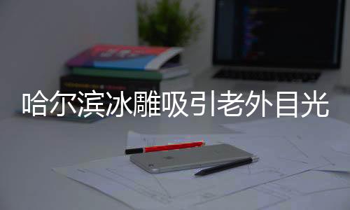 哈爾濱冰雕吸引老外目光，神秘藝術(shù)穿越異國(guó)界限