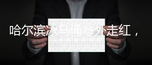 哈爾濱冰馬俑意外走紅，竟被游客盤成光頭——關(guān)于文化與互動的思考