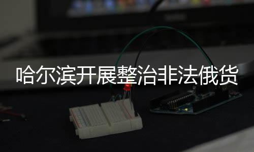 哈爾濱開(kāi)展整治非法俄貨行動(dòng)全面規(guī)范市場(chǎng)秩序
