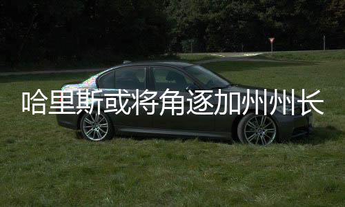 哈里斯或?qū)⒔侵鸺又葜蓍L(zhǎng)一職
