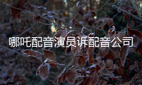 哪吒配音演員訴配音公司紛爭揭秘