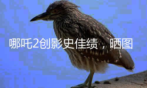 哪吒2創(chuàng)影史佳績(jī)，曬圖回應(yīng)成為新科狀元