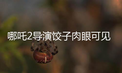 哪吒2導(dǎo)演餃子肉眼可見變老，創(chuàng)作之路上的辛勤與堅(jiān)韌