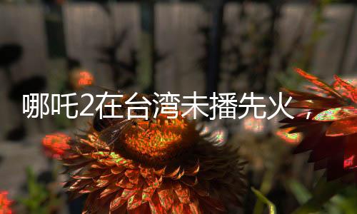 哪吒2在臺(tái)灣未播先火，期待與熱議交織的魔法